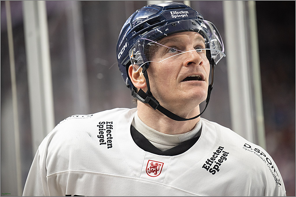 PENNY DEL; Koelner Haie-Duesseldorfer EG ; Koeln, 16.02.2025